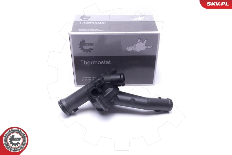 Thermostat, coolant